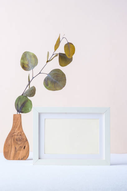 istock photo frame with eucalyptus branch in wood vase on pastel theme background 1372057459