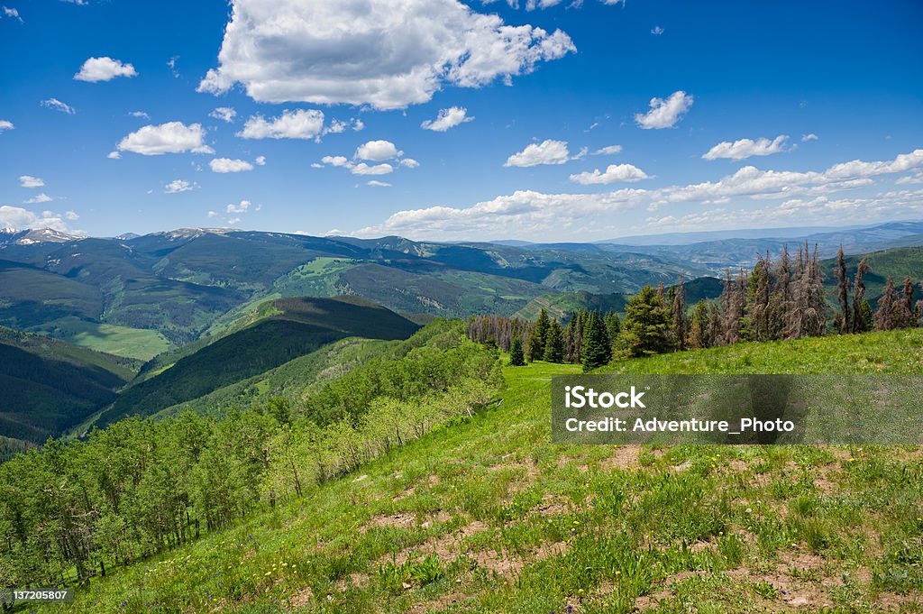 Widok Sawatch Range Kolorado - Zbiór zdjęć royalty-free (Góra)