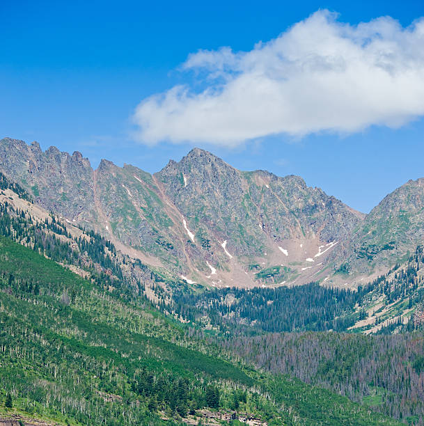 istock Gore Range Mountains in Summer Vail Colorado 137205816