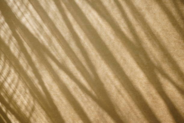 istock Natural light and shadow window overlay on gray brown autumn colors texture abstract wall background. 1372058192
