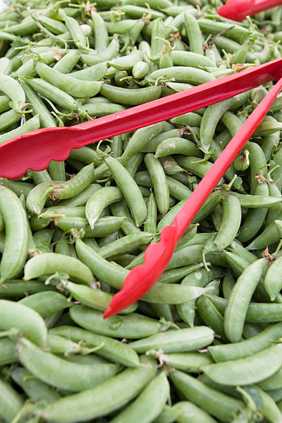 Fresh Vegetables stock photo