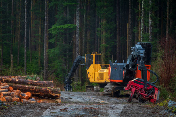 Logging Industry On Vancouver Island stock photo