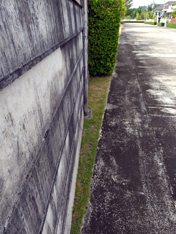 The cement walls were covered with moss until black stains appeared all over the area.