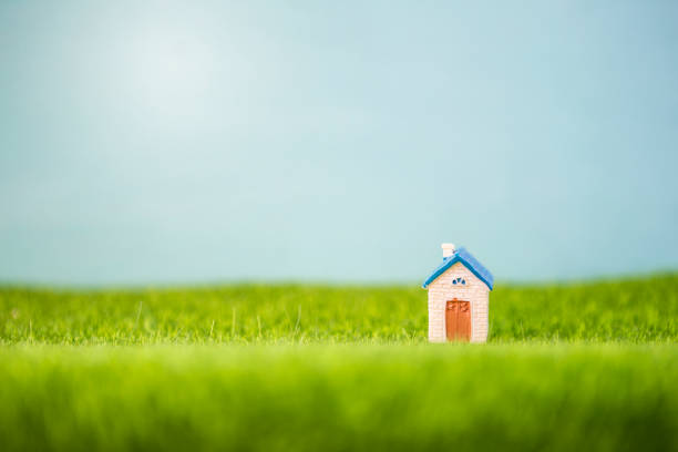 House model on green grass with space on blurred blue background, property and real estate business concept, summer house