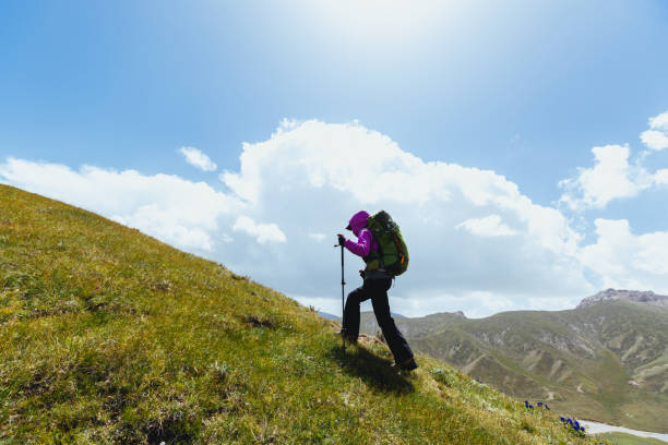 Successful woman backpacker walking to alpine mountain top