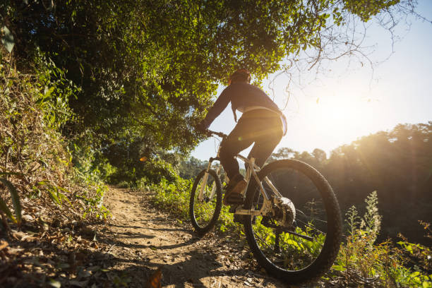 faire du vélo sur le sentier forestier du lever du soleil - mountain biking photos et images de collection