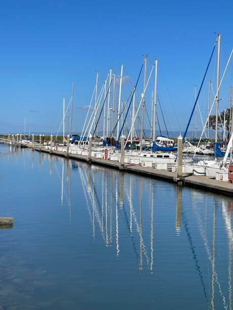 istock Sailboat masts on the pier 1372069561
