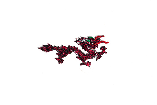 Chinese dragon textile patch for clothes customization, isolated on white. High quality photo