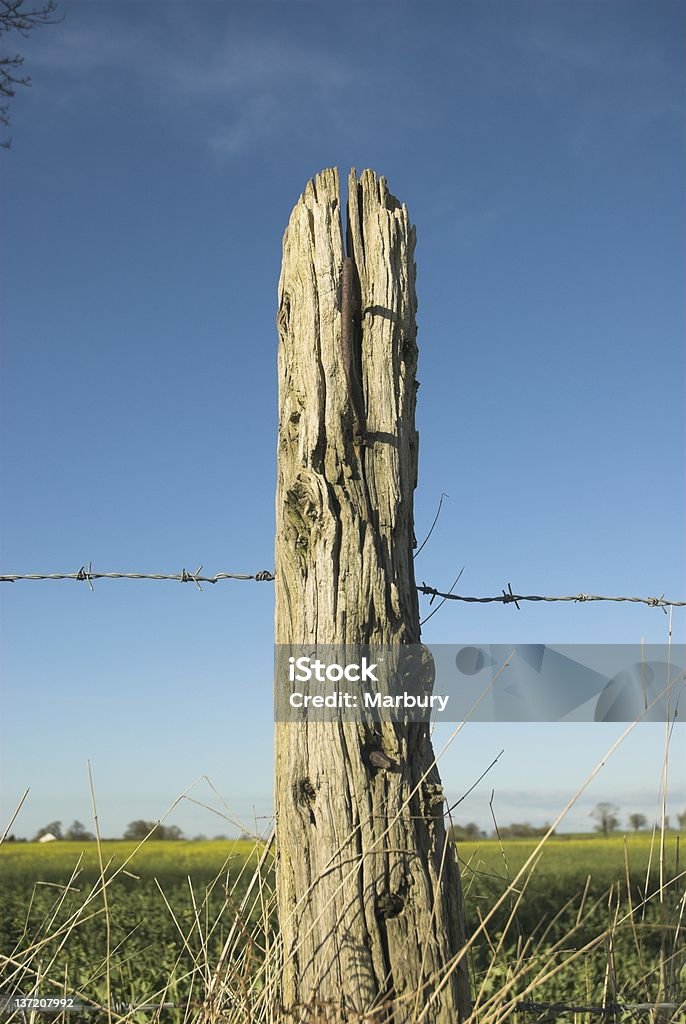 Vecchio Palo di legno - Foto stock royalty-free di Agricoltura