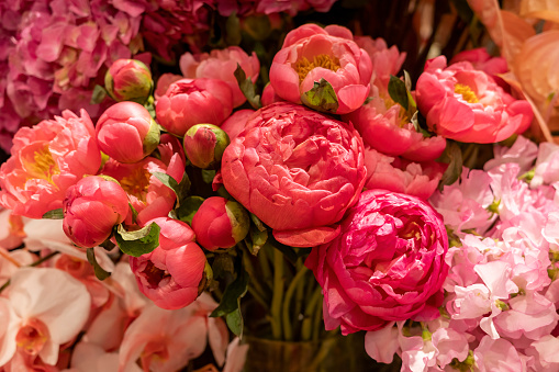 500+ Bouquet Images [HD] | Download Free Pictures On Unsplash