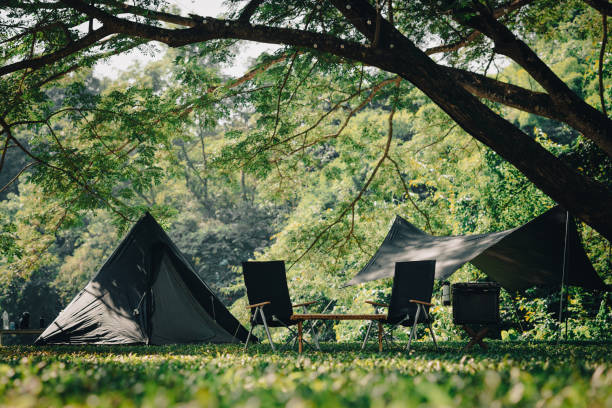 istock Camping in nature tent and camping accessory under the big tree. Beautiful nature background for travel and tourism. 1372090355
