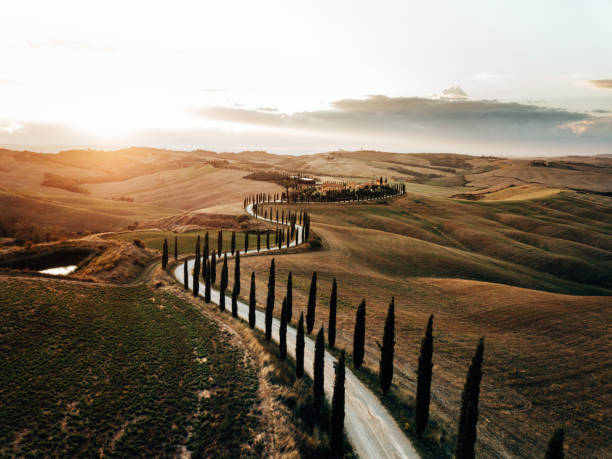 winding road in tuscany - winding road sunlight field cultivated land imagens e fotografias de stock