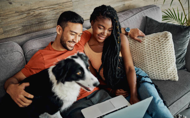 foto de una joven pareja sentada con su border collie en su sala de estar en casa y usando una computadora portátil - couple home interior laptop computer fotografías e imágenes de stock