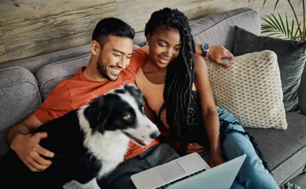 Photo of Shot of a young couple sitting with their Border Collie in their living room at home and using a laptop