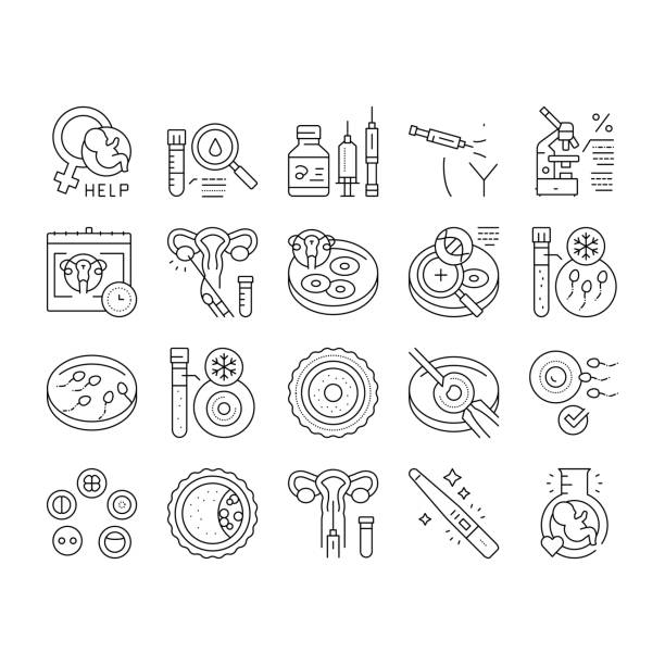 Fertilization Treat Collection Icons Set Vector . Fertilization Treat Collection Icons Set Vector. Fertilization Help And Consultation, Analysis And Medicaments, Ovulation And Freezing Sperm Black Contour Illustrations . artificial insemination stock illustrations