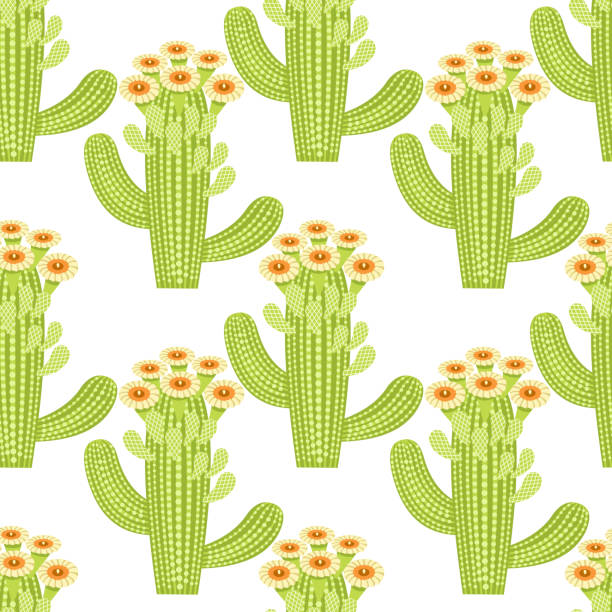 бесшовный рисунок цветущего кактуса. кактусы на белом фоне. - southwest usa floral pattern textile textured stock illustrations