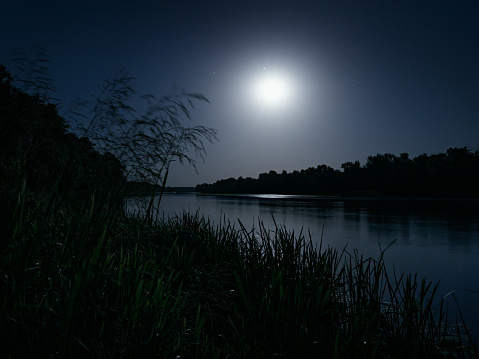 Night landscape with woods on river Don in moonlight, long exposure
