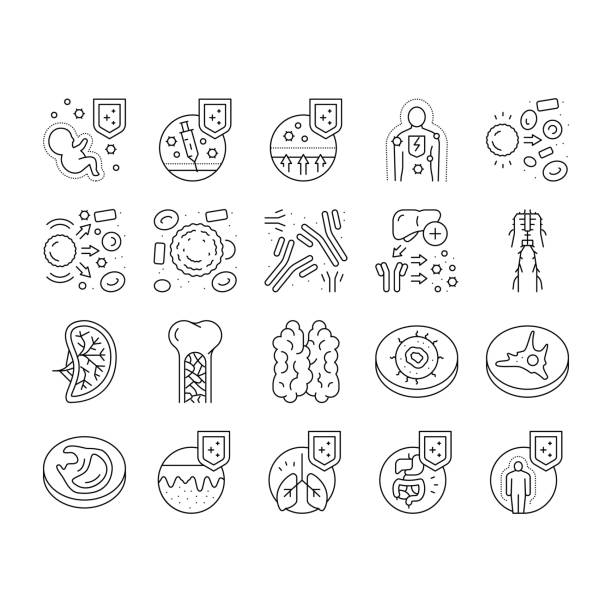 choroba układu odpornościowego i leczenia ikony ustaw wektor . - macrophage human immune system cell biology stock illustrations