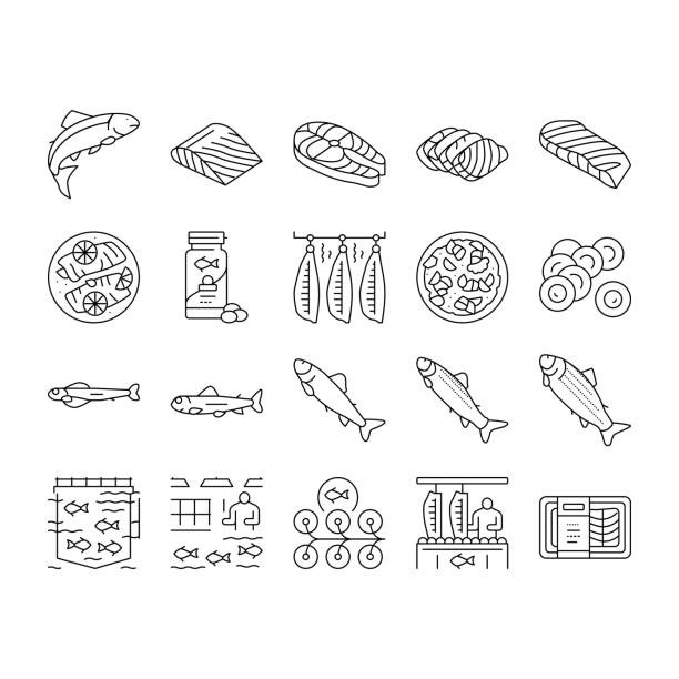 Salmon Fish Delicious Seafood Icons Set Vector . Salmon Fish Delicious Seafood Icons Set Vector. Sashimi And Salmon Fillet Steak, Fresh And Cooked Dish Sea Food, Caviar And Oil Line. Plant Processing And Farming Black Contour Illustrations . fish farm stock illustrations