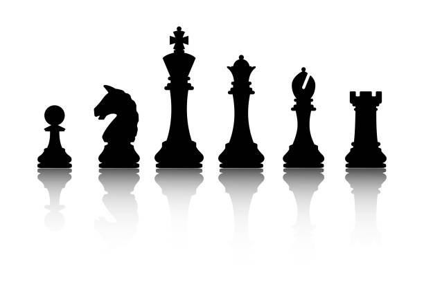반사가 있는 체스 조각 컬렉션. 벡터 그림입니다. - black hobbies chess knight chess stock illustrations