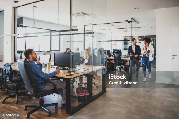 Group Of Business Colleagues Working In The Office Stock Photo - Download Image Now - Office Cubicle, Office, Employee