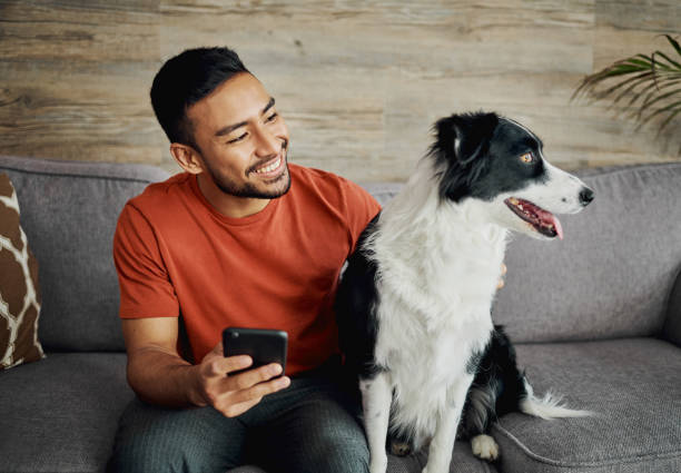 tiro de um jovem bonito sentado com seu border collie na sala de estar e usando seu celular - dog multi ethnic group people one person - fotografias e filmes do acervo