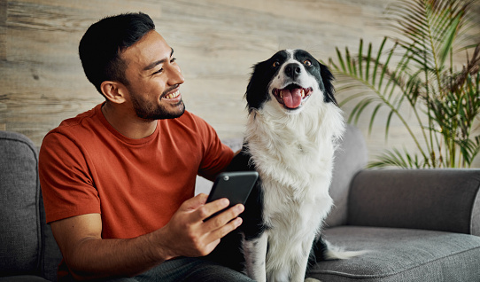 Shot of a handsome young man sitting with his Border Collie in the living room and using his cellphone