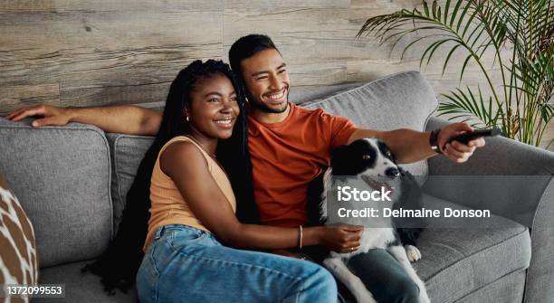 Shot Of A Happy Young Couple Sitting On The Sofa At Home With Their Border Collie And Watching Television Stock Photo - Download Image Now