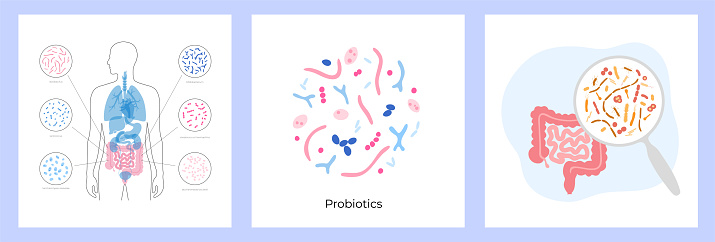 Probiotics and gastrointestinal health concept. Most common beneficial good bacteria and microorganisms. Healthy food, human gut microbiota. Set of medical infographics vector isolated illustration.