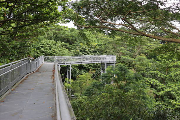 istock Park High Broad Walk, Singapore 1372101917