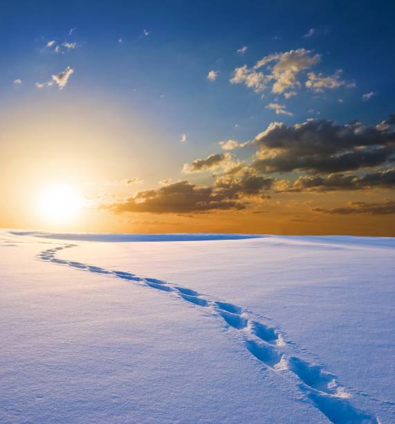 istock human track to a sunset in a winter plain 1372102971