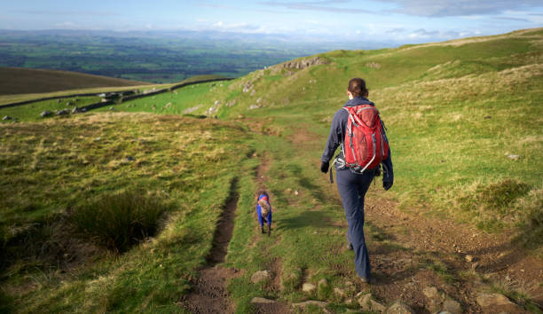 istock A female hiker walking their dog along a rough trail 1372103149