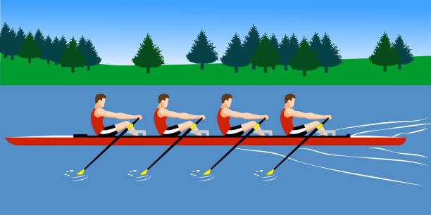 тренировка команды гребных лодок перед соревнованиями - rowing rowboat sport rowing oar stock illustrations