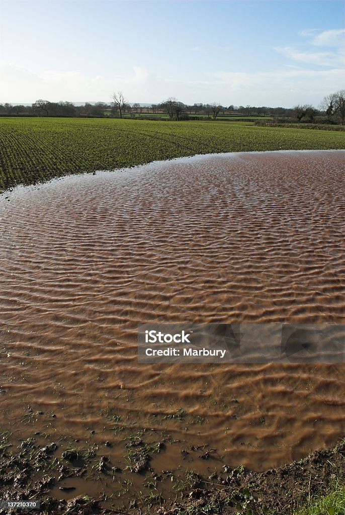 Inundada Campo - Royalty-free Agricultura Foto de stock