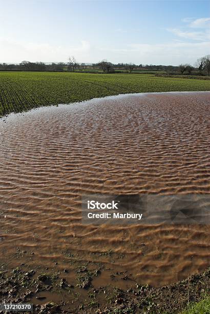 Inundada Campo - Fotografias de stock e mais imagens de Agricultura - Agricultura, Ao Ar Livre, Arruinado