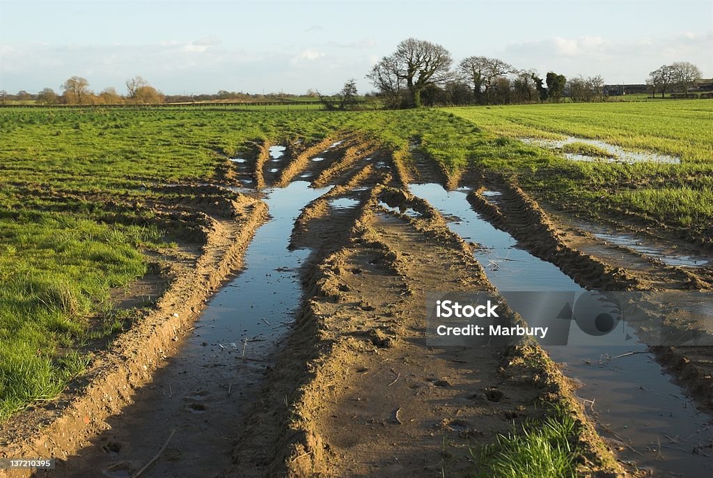 VehicleTracks in field Tyre tracks in muddy field. Agriculture Stock Photo