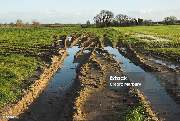 Vehicletracks In Field Stock Photo - Download Image Now - Agriculture, Blue, Brown