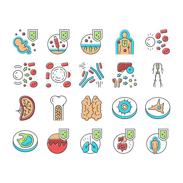 ilustrações de stock, clip art, desenhos animados e ícones de immune system disease and treat icons set vector . - macrophage human immune system cell biology