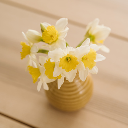 Narcissus poeticus poets daffodils in vase on kitchen table in sunlight\nPhoto taken indoors in natural sunlight