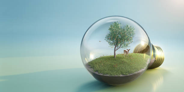 Lightbulb with screw fitting resting on plain coloured background. The bulb contains a miniature idyllic natural scene of a deer and bird near to a central fruit laden peach tree in a grass patch with wildflowers. The bird is in mid flight and the deer is looking towards the camera.