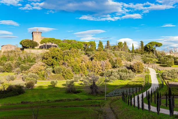 chemin de terre pittoresque - siena province tuscany italy fog photos et images de collection