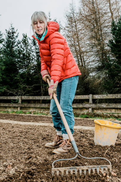 istock Woman preparing her vegetable garden 1372108994