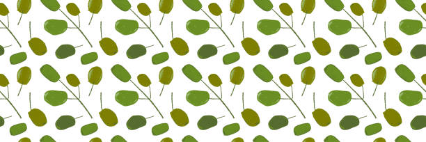 illustrations, cliparts, dessins animés et icônes de motif olive vert vecteur sans couture. dessins de branches d’olivier pour l’huile d’olive extra vierge italienne. - cooking oil extra virgin olive oil olive oil bottle