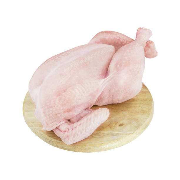 istock Birds: Raw Chicken, Hen, chick, Poultry raw  isolated on white background, full depth of field 1372111389