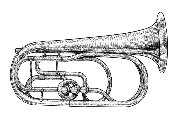 Vector illustration of Vector drawing of a trumpet