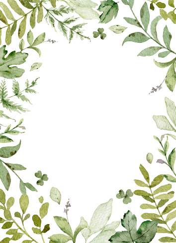 Watercolor vector frame with green forest foliage. Floral illustration for  greetings, wallpapers, invitation, wedding stationary, fashion, background.