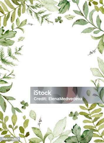 istock Watercolor vector frame with green forest foliage. Floral illustration for  greetings, wallpapers, invitation, wedding stationary, fashion, background. 1372114702