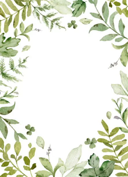 Vector illustration of Watercolor vector frame with green forest foliage. Floral illustration for  greetings, wallpapers, invitation, wedding stationary, fashion, background.