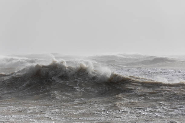 Storm 'Eunice' Storm 'Eunice' hits the South Coast of Britain with strong winds and huge waves seascape stock pictures, royalty-free photos & images
