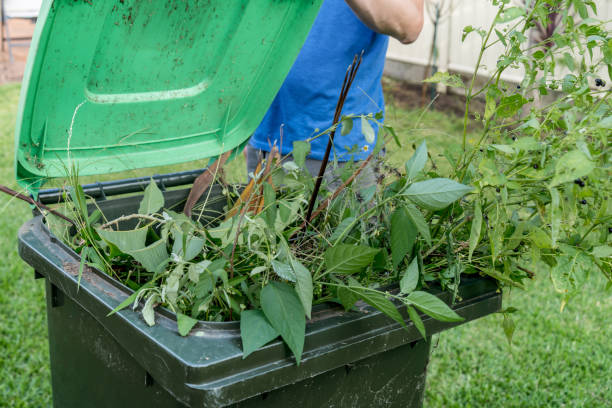 istock Green bin container filled with garden waste. Recycling garbage for a better environment. 1372122493